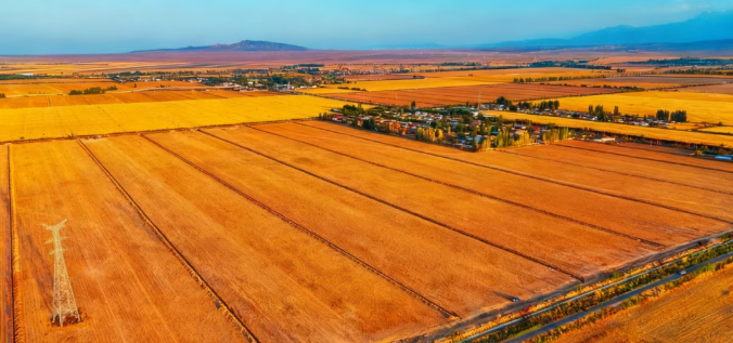 {a8f94d52-7684-40f4-a6df-61896c3fffc9} {a8f94d52-7684-40f4-a6df-61896c3fffc9}